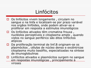 Linfócitos
 Os linfócitos vivem longamente , circulam no
  sangue e na linfa e localizam-se por prazo variável
  nos orgãos linfóides, onde podem ativar-se e
  proliferar em resposta a estímulos imunológicos
 Os linfócitos ativados têm cromatina frouxa ,
  nucléolos perceptíveis e citoplasma amplo , quando
  vistos no sangue periférico são ditos linfócitos
  atípicos
 Da proliferação terminal de linf.B originam-se os
  plasmócitos , células de núcleo denso e excêntricoe
  citoplasma muito basófilo, especializadas na síntese
  de imunoglobulinas
 Linfócitos ativados e plasmócitos surgem no sangue
  em respostas imunológicas , principalmente à
  viroses
 