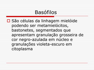 Basófilos
 São células da linhagem mielóide
  podendo ser metamielócitos,
  bastonetes, segmentados que
  apresentam granulação grosseira de
  cor negro-azulada em núcleo e
  granulações violeta-escuro em
  citoplasma
 
