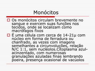 Monócitos
 Os monócitos circulam brevemente no
  sangue e exercem suas funções nos
  tecidos, onde se localizam como
  macrófagos fixos
 É uma célula com cerca de 14-21µ com
  núcleo em forma de ferradura ou
  chanfrado, as vezes com imagens
  semelhantes a circunvoluções, relação
  N/C 1:1, sem nucléolos.Citoplasma azul-
  acinzentado, com numerosas
  granulações azuladas finas lembrando
  poeira, presença ocasional de vacúolos
 