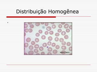 Distribuição Homogênea
.
 