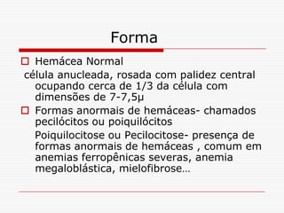 Forma
 Hemácea Normal
célula anucleada, rosada com palidez central
  ocupando cerca de 1/3 da célula com
  dimensões de 7-7,5µ
 Formas anormais de hemáceas- chamados
  pecilócitos ou poiquilócitos
  Poiquilocitose ou Pecilocitose- presença de
  formas anormais de hemáceas , comum em
  anemias ferropênicas severas, anemia
  megaloblástica, mielofibrose…
 
