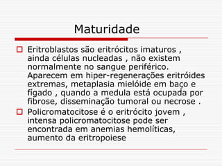 Maturidade
 Eritroblastos são eritrócitos imaturos ,
  ainda células nucleadas , não existem
  normalmente no sangue periférico.
  Aparecem em hiper-regenerações eritróides
  extremas, metaplasia mielóide em baço e
  fígado , quando a medula está ocupada por
  fibrose, disseminação tumoral ou necrose .
 Policromatocitose é o eritrócito jovem ,
  intensa policromatocitose pode ser
  encontrada em anemias hemolíticas,
  aumento da eritropoiese
 