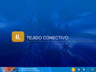 II.          TEJIDO CONECTIVO




      Anatomía Humana
      Manuel Arrelucea Delgado   15
 