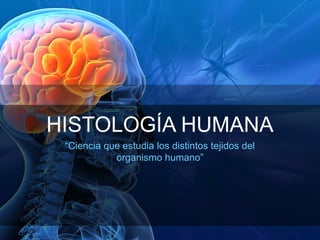 HISTOLOGÍA HUMANA
 “Ciencia que estudia los distintos tejidos del
            organismo humano”
 
