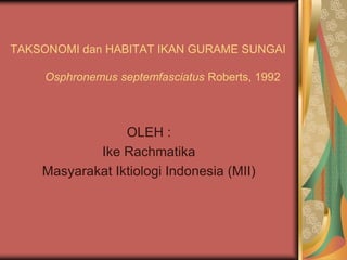 TAKSONOMI dan HABITAT IKAN GURAME SUNGAI
Osphronemus septemfasciatus Roberts, 1992
OLEH :
Ike Rachmatika
Masyarakat Iktiologi Indonesia (MII)
 