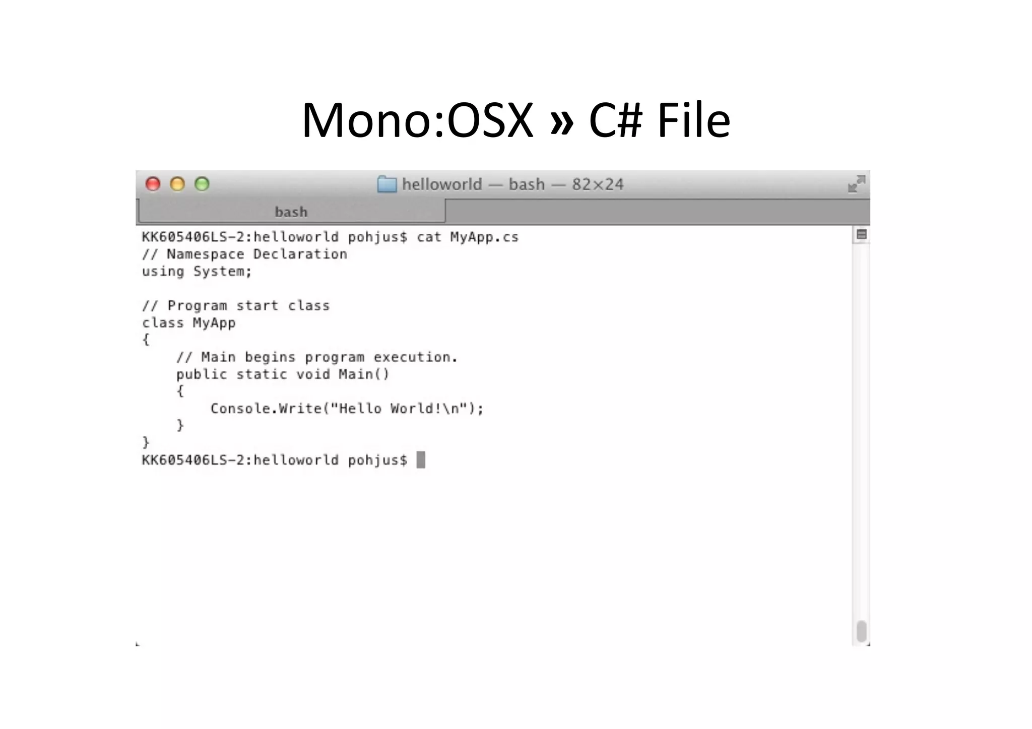 Mono:OSX  »  C#  File   