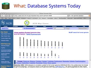 01-intro-systems alnalytics and design in database systems | PPT