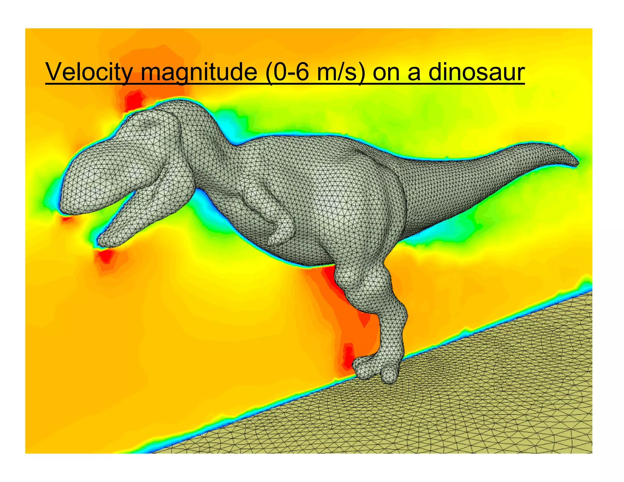 26
Velocity magnitude (0-6 m/s) on a dinosaur
 