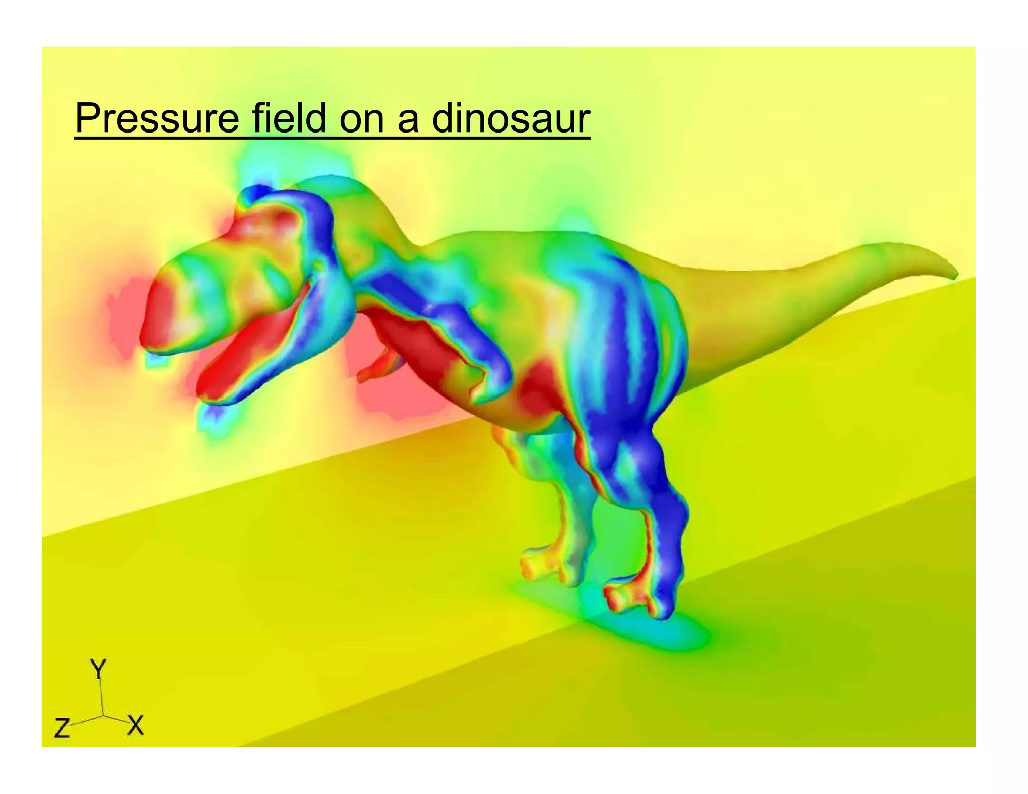 28
Pressure field on a dinosaur
 