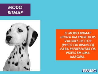 MODO
BITMAP

O MODO BITMAP
UTILIZA UM ENTRE DOIS
VALORES DE COR
(PRETO OU BRANCO)
PARA REPRESENTAR OS
PIXELS EM UMA
IMAGEM. 

 