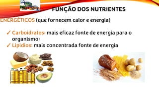 ENERGÉTICOS (que fornecem calor e energia)
✓Carboidratos: mais eficaz fonte de energia para o
organismo;
✓Lipídios: mais concentrada fonte de energia
FUNÇÃO DOS NUTRIENTES
 