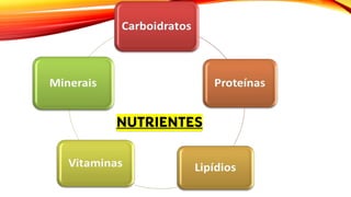 NUTRIENTES
 