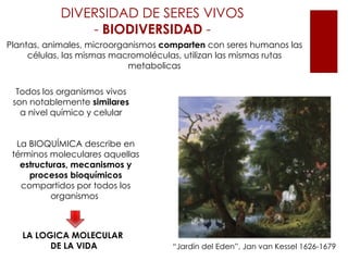 DIVERSIDAD DE SERES VIVOS
                - BIODIVERSIDAD -
Plantas, animales, microorganismos comparten con seres humanos las
     células, las mismas macromoléculas, utilizan las mismas rutas
                            metabolicas

  Todos los organismos vivos
 son notablemente similares
   a nivel químico y celular


  La BIOQUÍMICA describe en
 términos moleculares aquellas
   estructuras, mecanismos y
     procesos bioquímicos
   compartidos por todos los
           organismos



   LA LOGICA MOLECULAR
         DE LA VIDA                  “Jardín del Eden”, Jan van Kessel 1626-1679
 