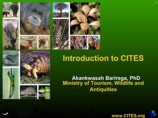 Cites Function Introduction to CITES | PPT