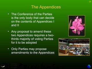 Introduction to CITES | PPT