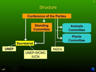 Introduction to CITES | PPT