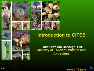 1
Akankwasah Barirega, PhD
www.CITES.org
Introduction to CITES
Ministry of Tourism, Wildlife and
Antiquities
 
