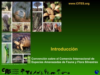 1www.CITES.org
Introducción
Convención sobre el Comercio Internacional de
Especies Amenazadas de Fauna y Flora Silvestres
© Derechos de autor Secretaría CITES 2010
 