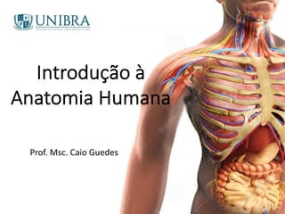 Introdução à
Anatomia Humana
Prof. Msc. Caio Guedes
 