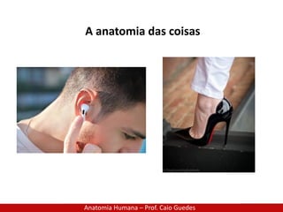 A anatomia das coisas
Anatomia Humana – Prof. Caio Guedes
 