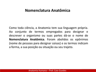 Nomenclatura Anatômica
Anatomia Humana – Prof. Caio Guedes
Como toda ciência, a Anatomia tem sua linguagem própria.
Ao conjunto de termos empregados para designar e
descrever o organismo ou suas partes dá-se o nome de
Nomenclatura Anatômica. Foram abolidos os epônimos
(nome de pessoas para designar coisas) e os termos indicam
a forma, a sua posição ou situação ou seu trajeto.
 