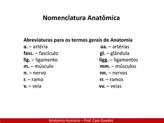 Nomenclatura Anatômica
Anatomia Humana – Prof. Caio Guedes
Abreviaturas para os termos gerais de Anatomia
a. – artéria aa. – artérias
fasc. – fascículo gl. – glândula
lig. – ligamento ligg. – ligamentos
m. – músculo mm. – músculos
n. – nervo nn. – nervos
r. – ramo rr. – ramos
v. – veia vv. – veias
 