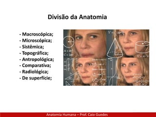 Divisão da Anatomia
Anatomia Humana – Prof. Caio Guedes
- Macroscópica;
- Microscópica;
- Sistêmica;
- Topográfica;
- Antropológica;
- Comparativa;
- Radiológica;
- De superfície;
 