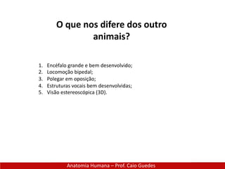 Anatomia Humana – Prof. Caio Guedes
O que nos difere dos outro
animais?
1. Encéfalo grande e bem desenvolvido;
2. Locomoção bipedal;
3. Polegar em oposição;
4. Estruturas vocais bem desenvolvidas;
5. Visão estereoscópica (3D).
 