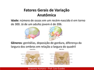 Anatomia Humana – Prof. Caio Guedes
Fatores Gerais de Variação
Anatômica
Idade: número de ossos em um recém-nascido é em torno
de 300. Já de um adulto jovem é de 206.
Gêneros: genitálias, deposição de gordura, diferença da
largura dos ombros em relação a largura do quadril
 