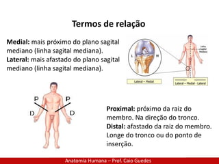 Anatomia Humana – Prof. Caio Guedes
Termos de relação
Medial: mais próximo do plano sagital
mediano (linha sagital mediana).
Lateral: mais afastado do plano sagital
mediano (linha sagital mediana).
Proximal: próximo da raiz do
membro. Na direção do tronco.
Distal: afastado da raiz do membro.
Longe do tronco ou do ponto de
inserção.
 