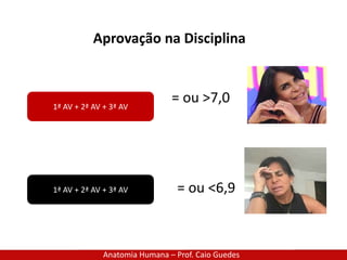 Anatomia Humana – Prof. Caio Guedes
Aprovação na Disciplina
1ª AV + 2ª AV + 3ª AV
= ou >7,0
1ª AV + 2ª AV + 3ª AV = ou <6,9
 
