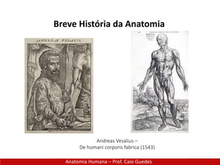 Breve História da Anatomia
Anatomia Humana – Prof. Caio Guedes
Andreas Vesalius –
De humani corporis fabrica (1543)
 