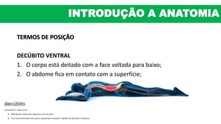 TERMOS DE POSIÇÃO
DECÚBITO VENTRAL
1. O corpo está deitado com a face voltada para baixo;
2. O abdome fica em contato com a superfície;
INTRODUÇÃO A ANATOMIA
 