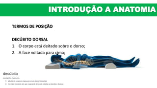 TERMOS DE POSIÇÃO
DECÚBITO DORSAL
1. O corpo está deitado sobre o dorso;
2. A face voltada para cima;
INTRODUÇÃO A ANATOMIA
 