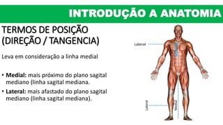 TERMOS DE POSIÇÃO
(DIREÇÃO / TANGENCIA)
Leva em consideração a linha medial
• Medial: mais próximo do plano sagital
mediano (linha sagital mediana.
• Lateral: mais afastado do plano sagital
mediano (linha sagital mediana).
MEDIAL
Lateral
Lateral
Medial
INTRODUÇÃO A ANATOMIA
 