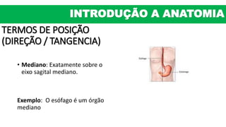 INTRODUÇÃO A ANATOMIA
TERMOS DE POSIÇÃO
(DIREÇÃO / TANGENCIA)
• Mediano: Exatamente sobre o
eixo sagital mediano.
Exemplo: O esófago é um órgão
mediano
 