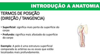 TERMOS DE POSIÇÃO
(DIREÇÃO / TANGENCIA)
• Superficial: significa mais perto da superfície do
corpo
• Profundo: significa mais afastado da superfície
do corpo
Exemplo: A pele é uma estrutura superficial
comparada às artérias ou os ossos que estão
localizados mais profundamente.
INTRODUÇÃO A ANATOMIA
 