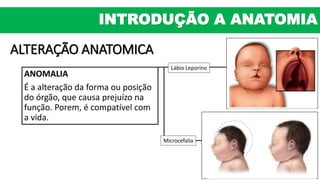 ALTERAÇÃO ANATOMICA
ANOMALIA
É a alteração da forma ou posição
do órgão, que causa prejuízo na
função. Porem, é compatível com
a vida.
Lábio Leporino
Microcefalia
INTRODUÇÃO A ANATOMIA
 