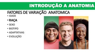 FATORES DE VARIAÇÃO ANATOMICA
• IDADE
• RAÇA
• SEXO
• BIOTIPO
• ADAPTATIVAS
• EVOLUÇÃO
INTRODUÇÃO A ANATOMIA
 