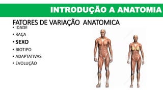 FATORES DE VARIAÇÃO ANATOMICA
• IDADE
• RAÇA
• SEXO
• BIOTIPO
• ADAPTATIVAS
• EVOLUÇÃO
INTRODUÇÃO A ANATOMIA
 