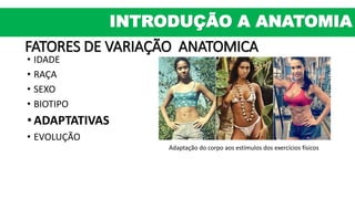 FATORES DE VARIAÇÃO ANATOMICA
• IDADE
• RAÇA
• SEXO
• BIOTIPO
• ADAPTATIVAS
• EVOLUÇÃO
Adaptação do corpo aos estímulos dos exercícios físicos
INTRODUÇÃO A ANATOMIA
 