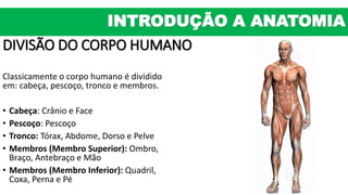 DIVISÃO DO CORPO HUMANO
Classicamente o corpo humano é dividido
em: cabeça, pescoço, tronco e membros.
• Cabeça: Crânio e Face
• Pescoço: Pescoço
• Tronco: Tórax, Abdome, Dorso e Pelve
• Membros (Membro Superior): Ombro,
Braço, Antebraço e Mão
• Membros (Membro Inferior): Quadril,
Coxa, Perna e Pé
INTRODUÇÃO A ANATOMIA
 