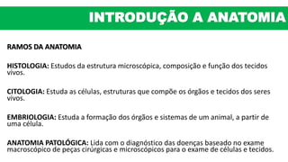 RAMOS DA ANATOMIA
HISTOLOGIA: Estudos da estrutura microscópica, composição e função dos tecidos
vivos.
CITOLOGIA: Estuda as células, estruturas que compõe os órgãos e tecidos dos seres
vivos.
EMBRIOLOGIA: Estuda a formação dos órgãos e sistemas de um animal, a partir de
uma célula.
ANATOMIA PATOLÓGICA: Lida com o diagnóstico das doenças baseado no exame
macroscópico de peças cirúrgicas e microscópicos para o exame de células e tecidos.
INTRODUÇÃO A ANATOMIA
 