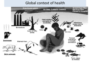 Sick animals
Zoonoses
Global context of health
 