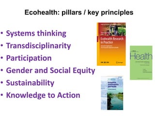 Introduction to EcoHealth