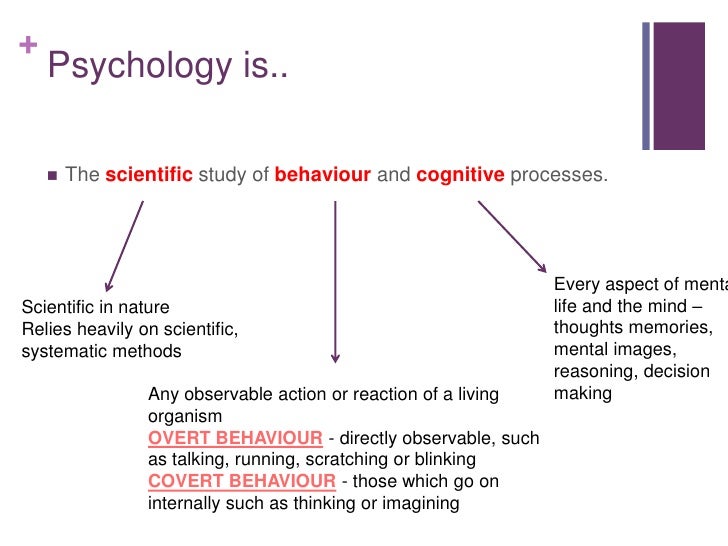 introduction to psychology the beginning and Chapter 1 introduction to psychology figure 110 noam chomsky was very influential in beginning the cognitive revolution in 2010, this mural honoring. introduction to psychology the beginning and Chapter 1 introduction to psychology figure 110 noam chomsky was very influential in beginning the cognitive revolution in 2010, this mural honoring.