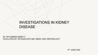 INVESTIGATIONS IN KIDNEY
DISEASE
BY: DR SABRINA MMED 3
FACILLATED BY: DR RUDOVICK (MD, MMED, MSC NEPHROLOGY
6TH JUNE 2022
 