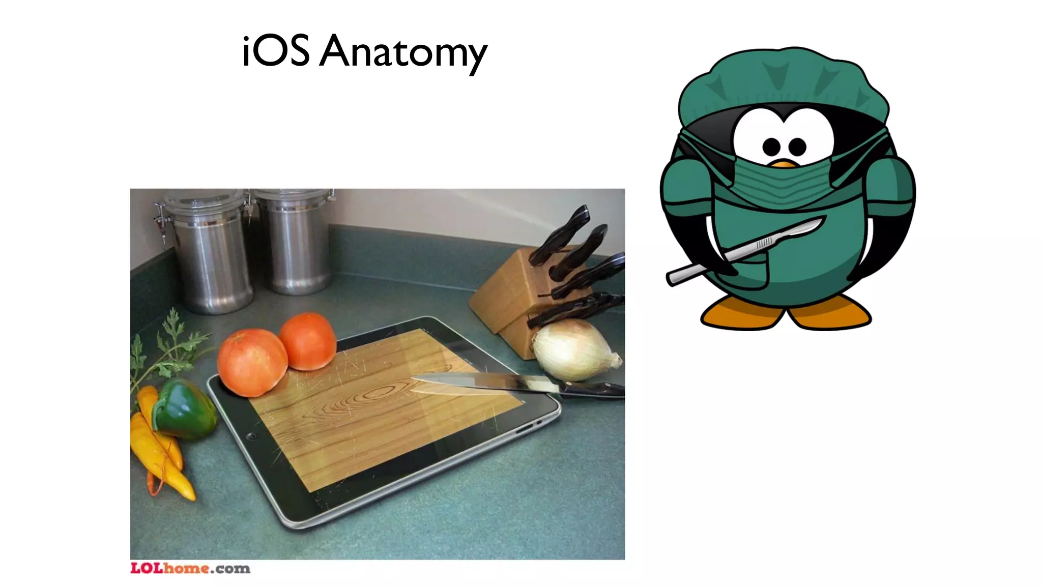 iOS Anatomy
 