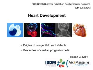 Robert G. Kelly
Heart Development
ESC CBCS Summer School on Cardiovascular Sciences
19th June 2013
Origins of congenital heart defects
Properties of cardiac progenitor cells
 