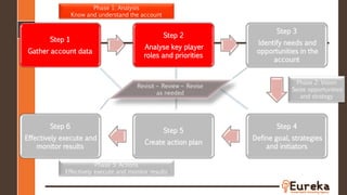 Step 1
Gather account data
Step 2
Analyse key player
roles and priorities
Step 3
Identify needs and
opportunities in the
account
Step 4
Define goal, strategies
and initiators
Step 5
Create action plan
Step 6
Effectively execute and
monitor results
Phase 1: Analysis
Know and understand the account
Phase 2: Vision
Seize opportunities
and strategy
Phase 3: Actions
Effectively execute and monitor results
Revisit – Review – Revise
as needed
 